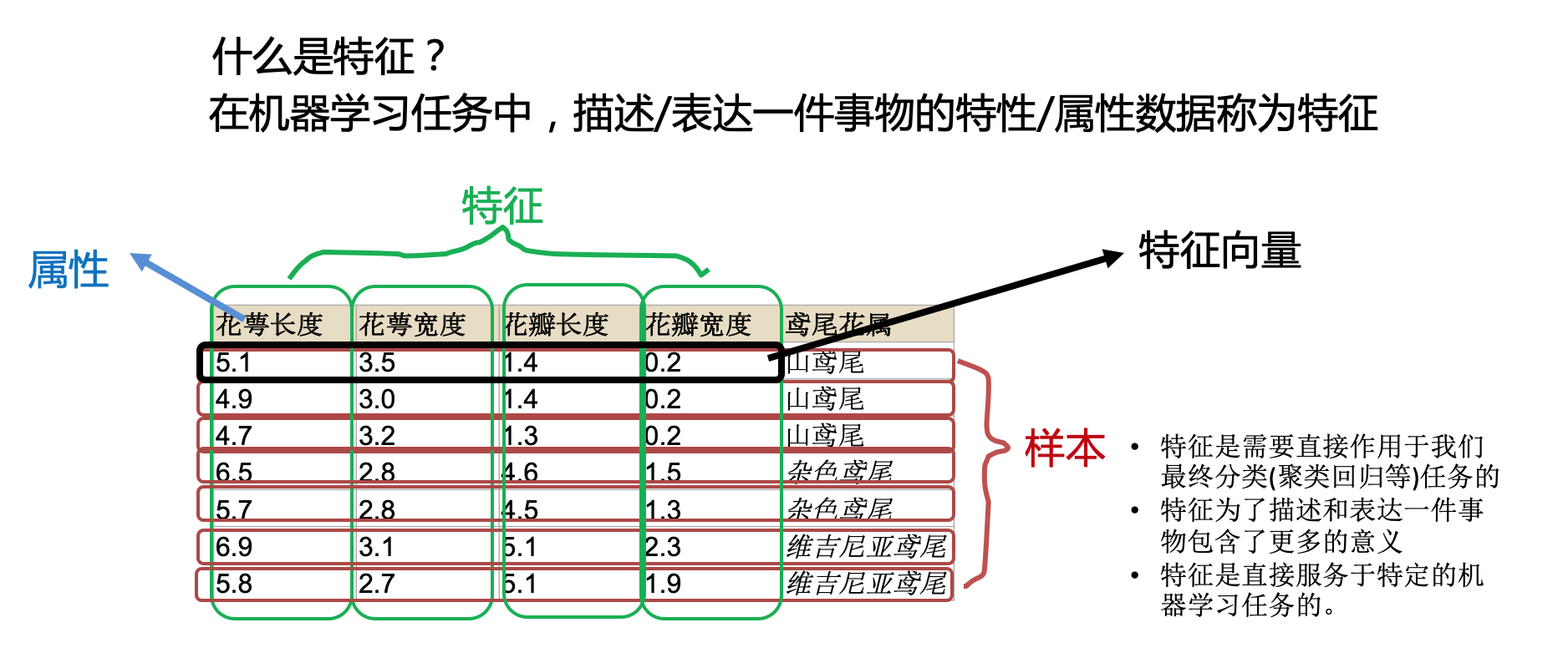 什么是特征